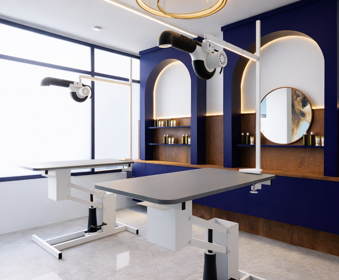 Architectural Studio